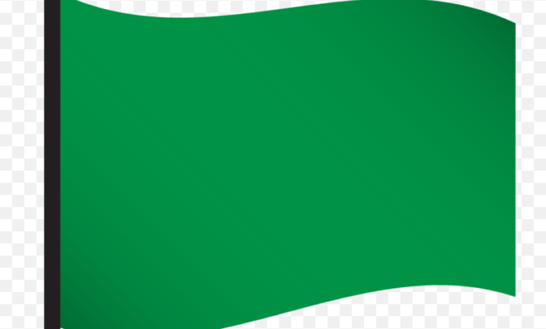Green Flag Emoji